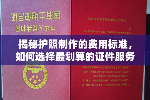 阳东揭秘护照制作的费用标准，如何选择最划算的证件服务？